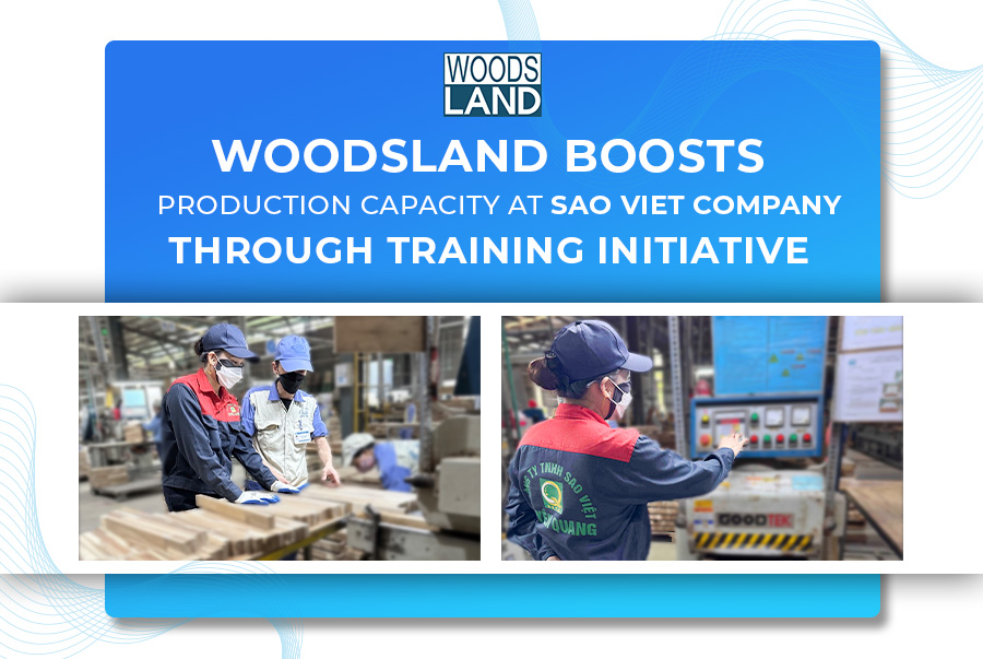 12.06 sao việt bìa