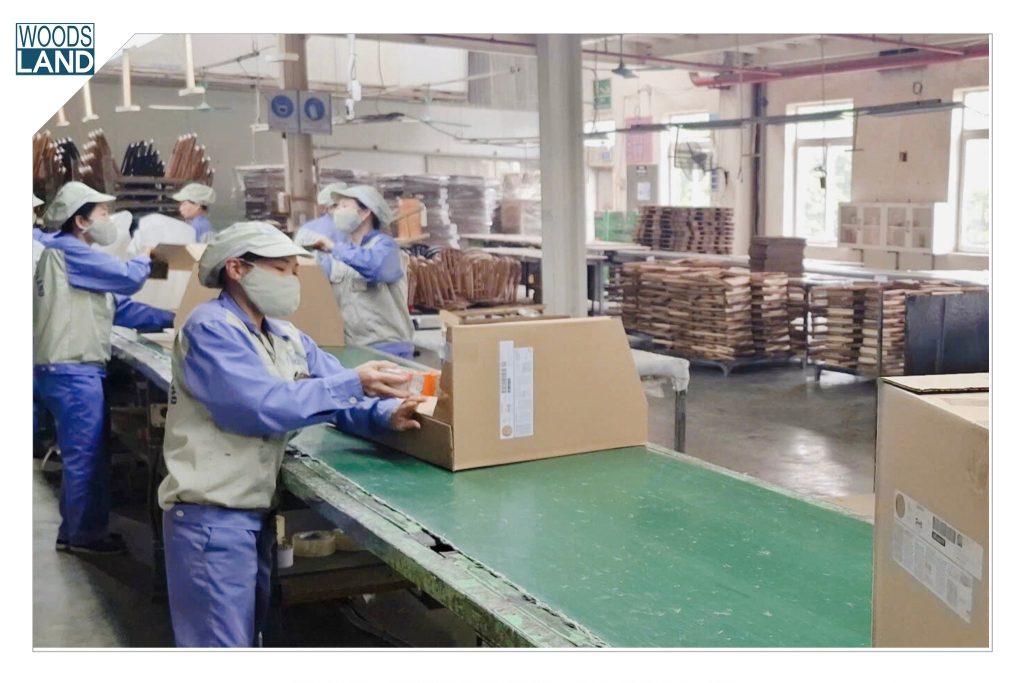 631929715 1564330468608992 6563968744782849935 n