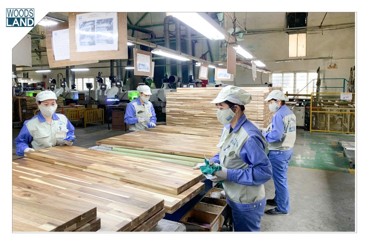 WOODSLAND MAINTAINS STABLE PRODUCTION MOMENTUM AHEAD OF THE NEW YEAR