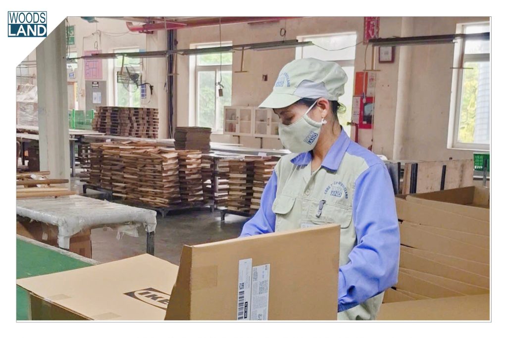 633261417 1564330475275658 367121458649705362 n