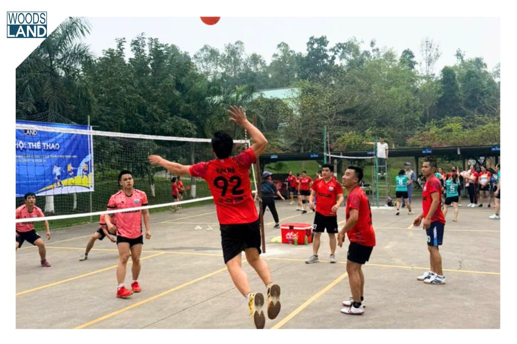 650321234 1589949049380467 3055998123477470897 n