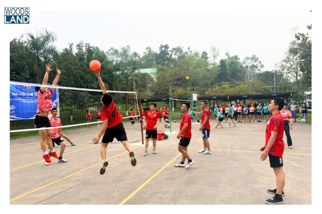 651254743 1589948839380488 570624333306461116 n