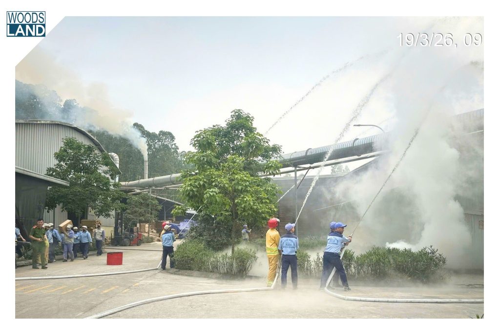 653874480 1595990728776299 7204974052738616097 n