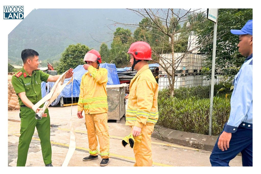 654194891 1595991072109598 622441169938607120 n