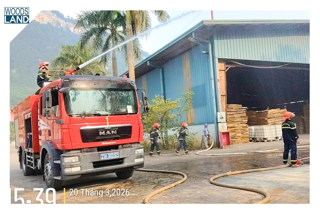 654218524 1595991065442932 975652774004665712 n