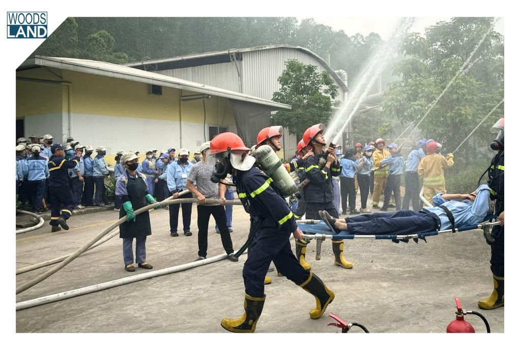 654257587 1595990478776324 6972491365156374055 n