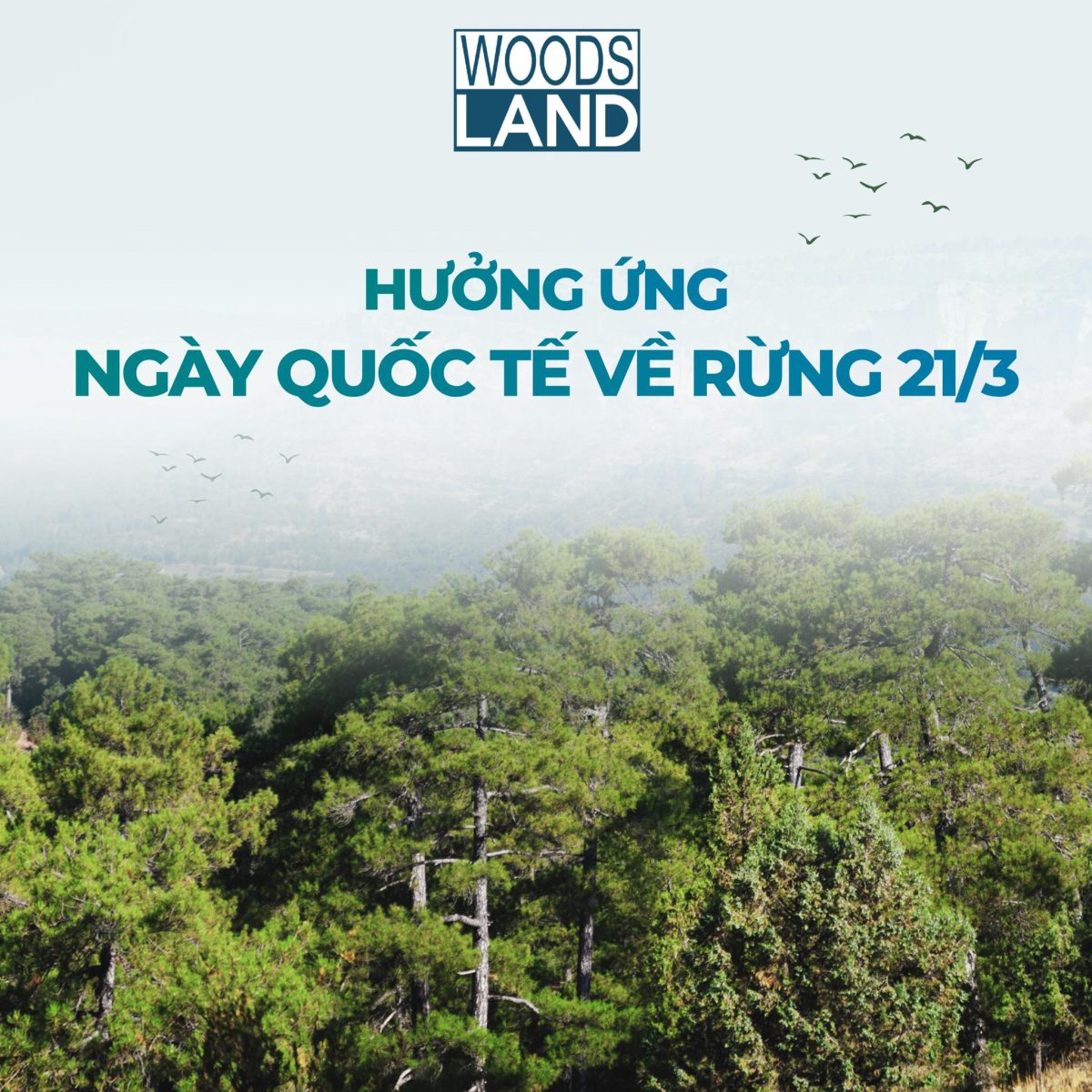 WOODSLAND HƯỞNG ỨNG NGÀY QUỐC TẾ VỀ RỪNG 21/3