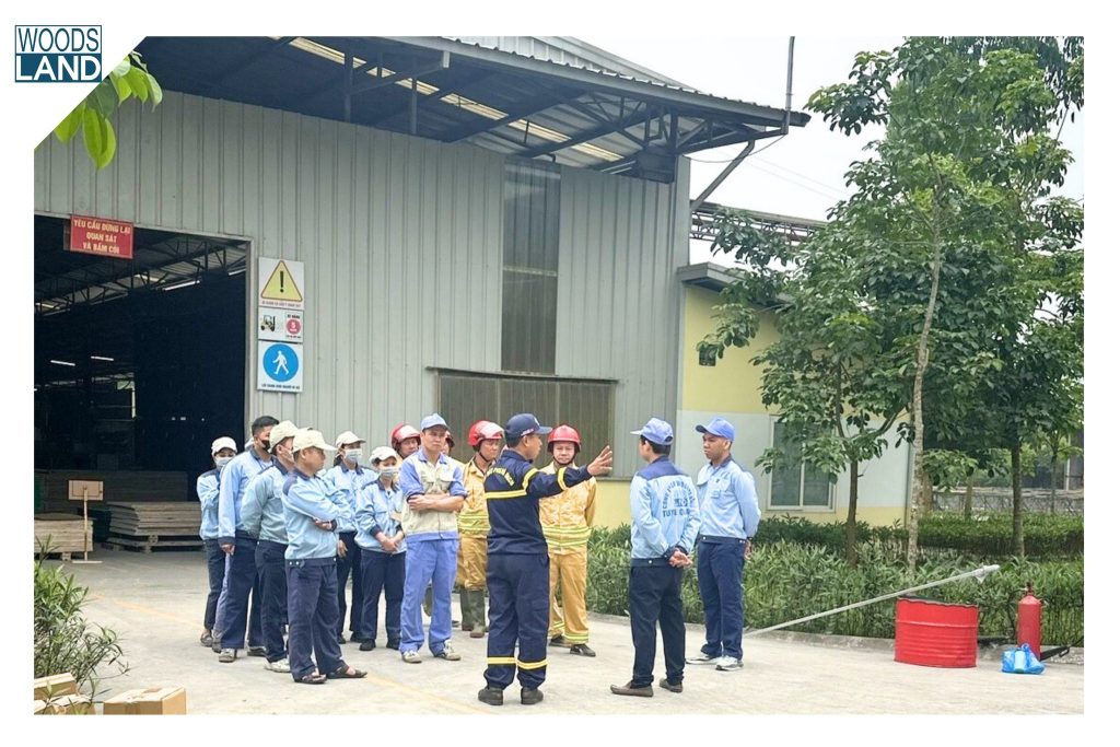 655759137 1595990488776323 1642370581842201343 n