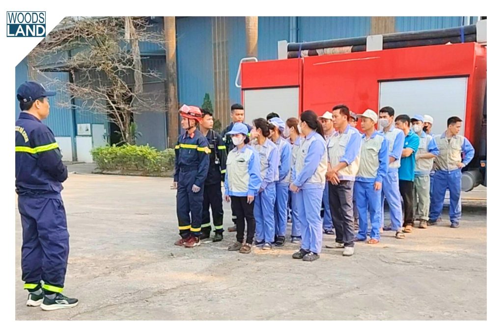 655946990 1595990355443003 5314350812539969081 n