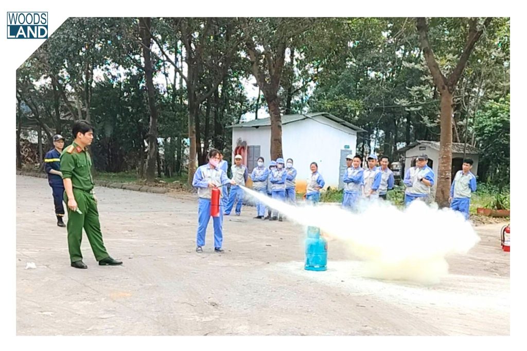 655966617 1595990392109666 7049041713311737205 n