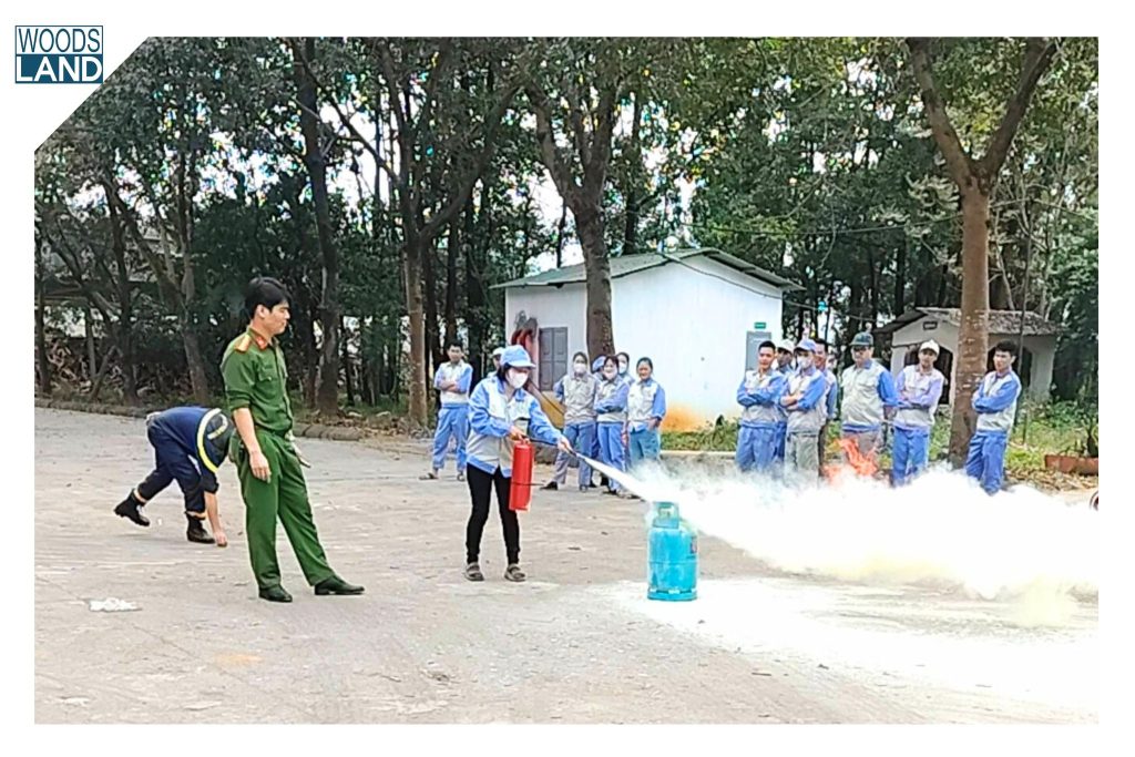 656464411 1595990448776327 9095566596548177853 n