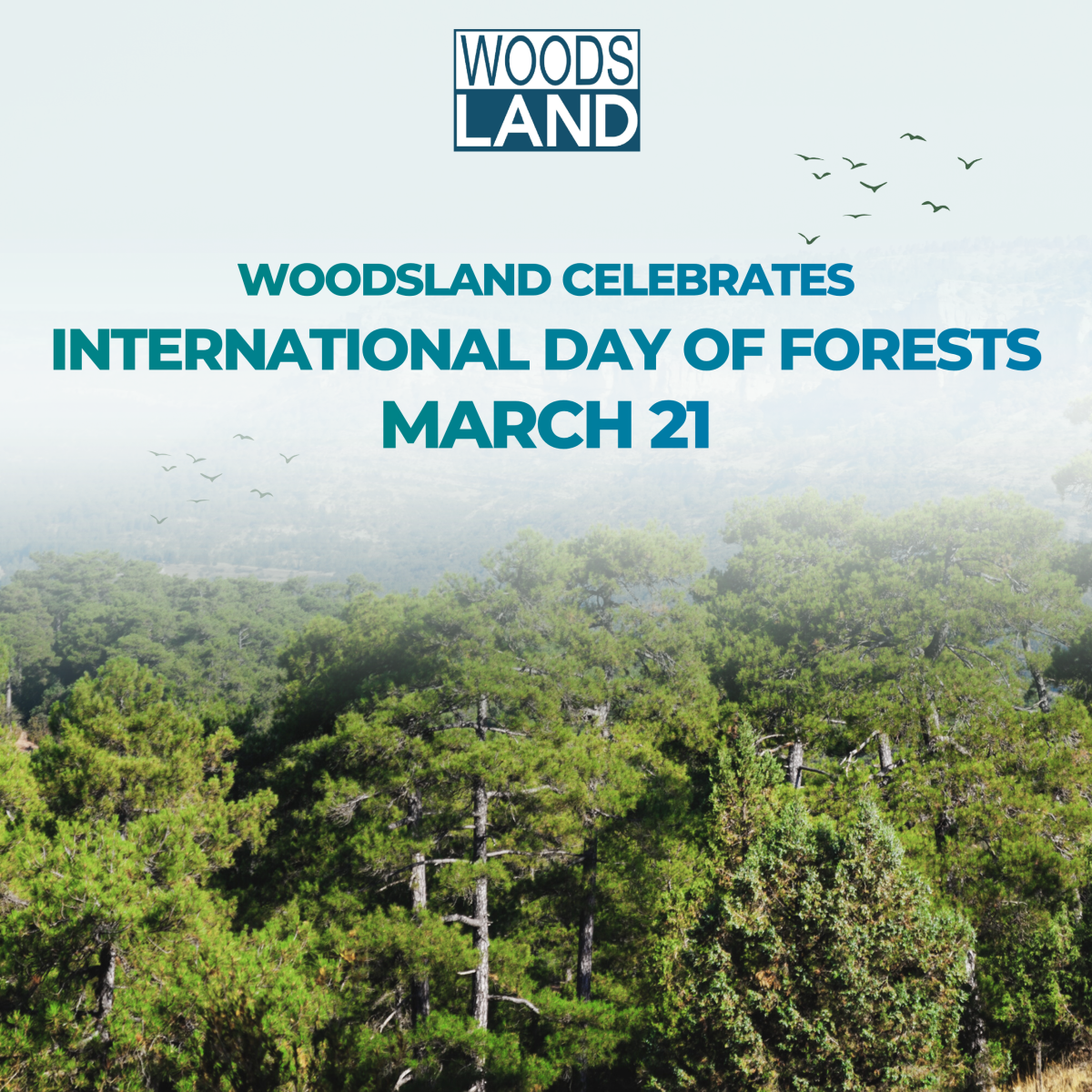WOODSLAND CELEBRATES INTERNATIONAL DAY OF FORESTS (MARCH 21)